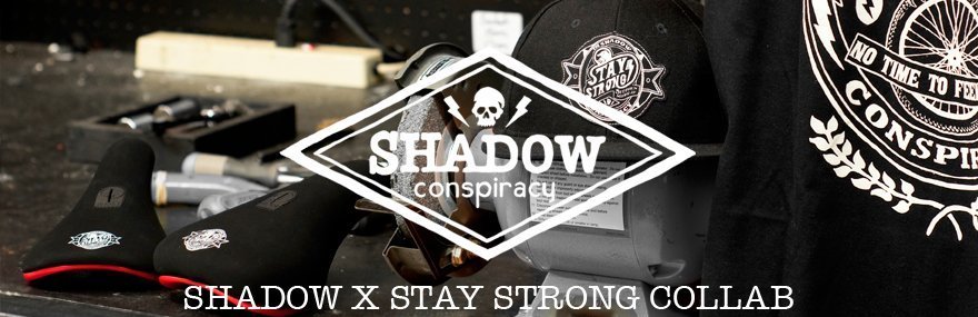 TSC_MainHeader_TSCStayStrongCollab