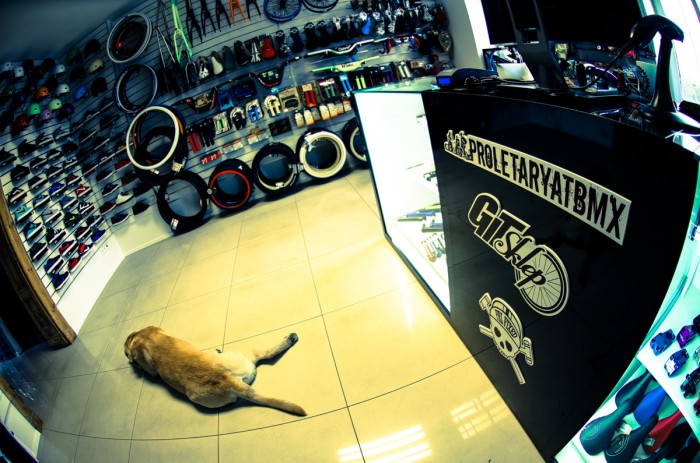 Proletaryat BMX